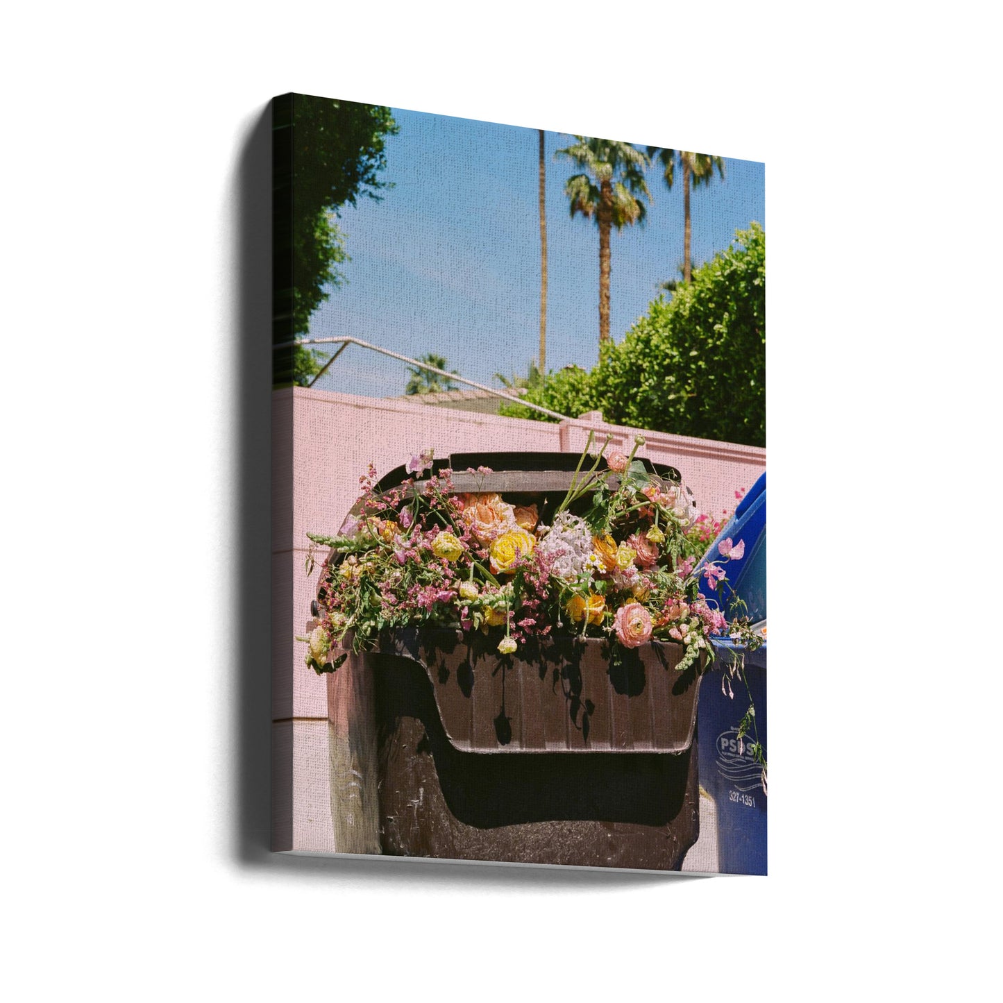 Palm Springs Curb | Canvas