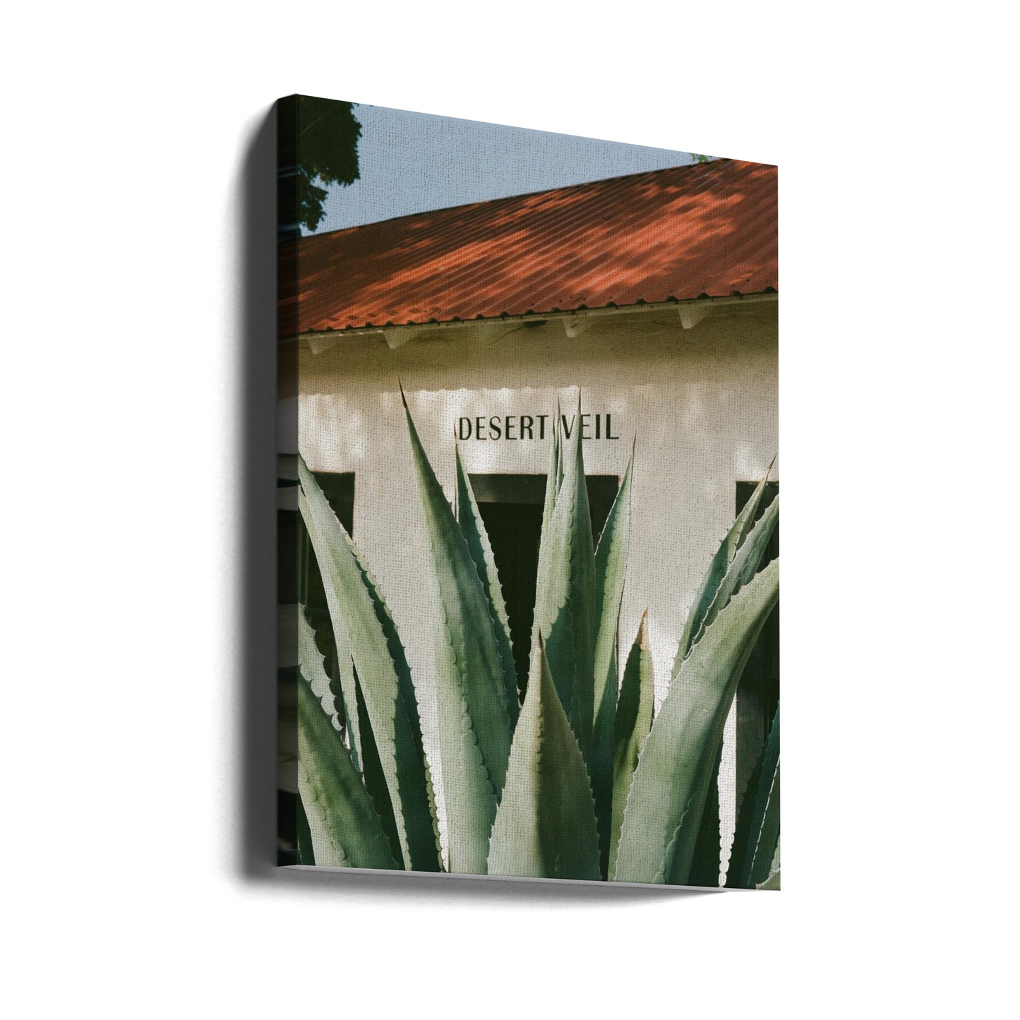 Ökenslöja | Canvas