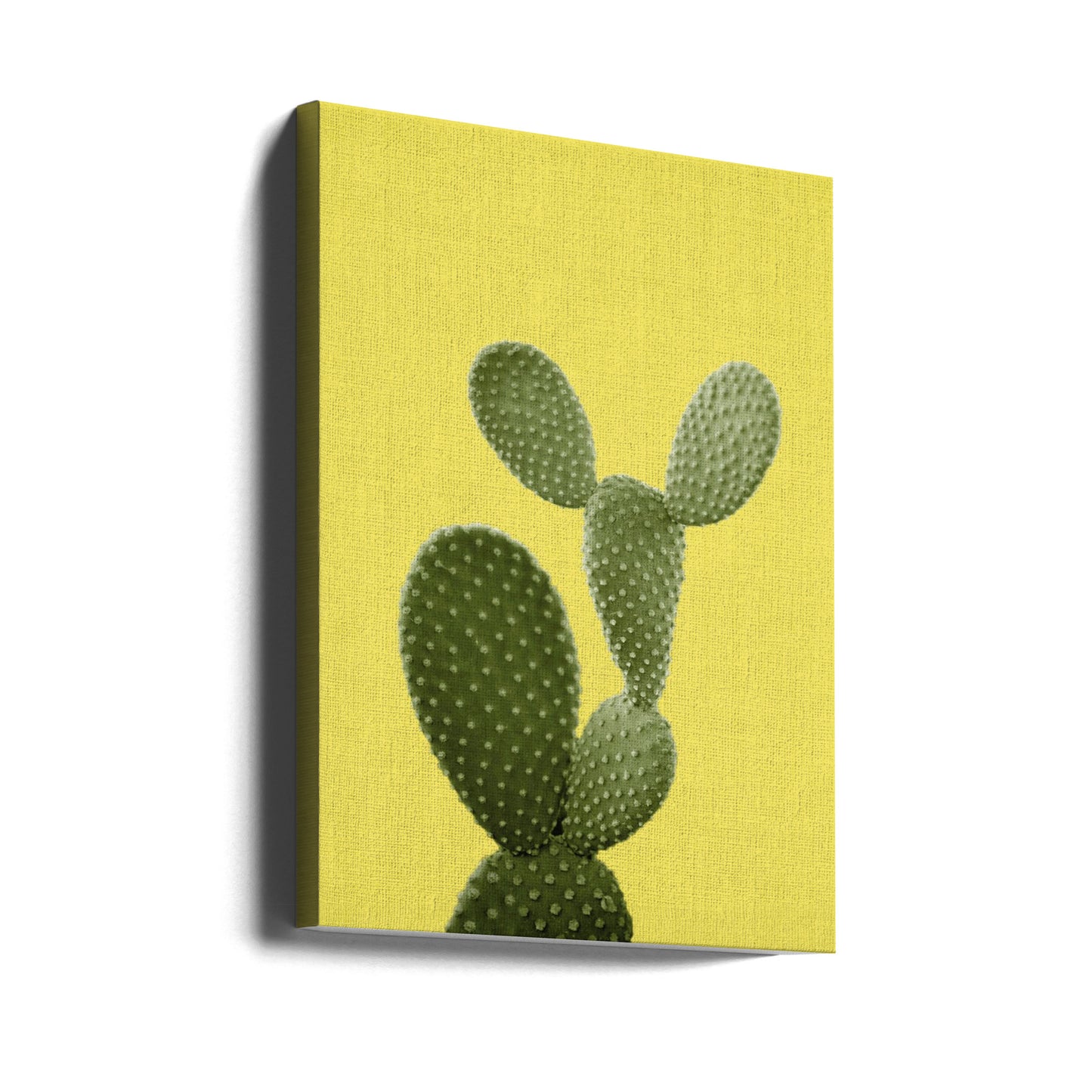 Yellow Cactus | Canvas