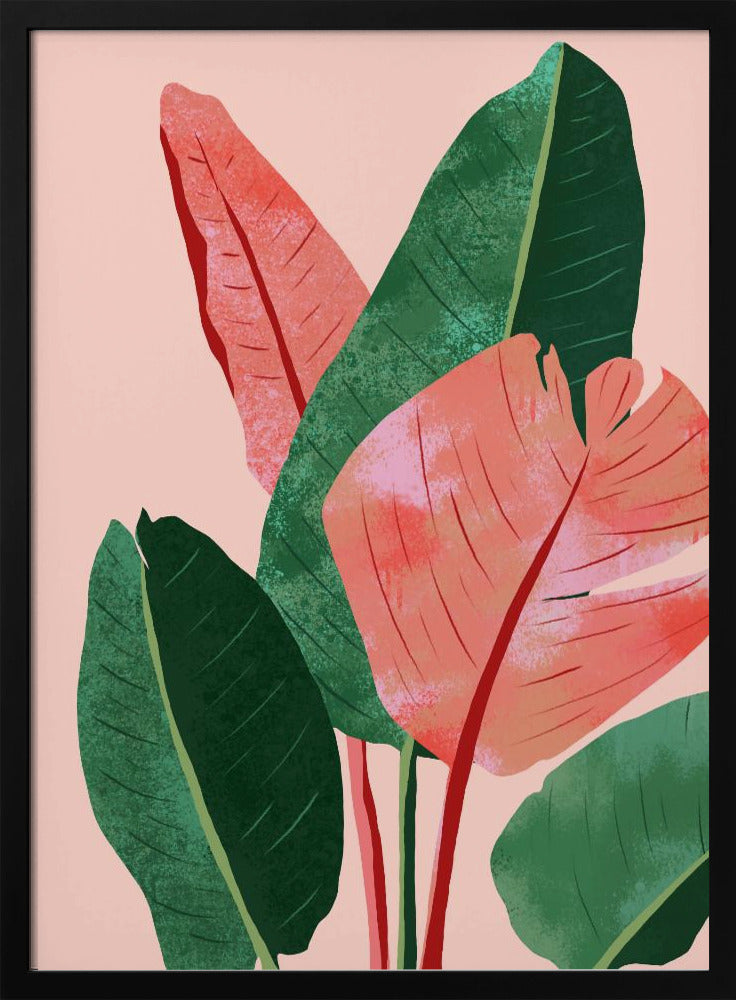 Blush Tropical | Poster