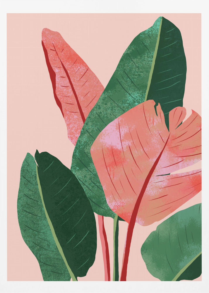 Blush Tropical | Poster