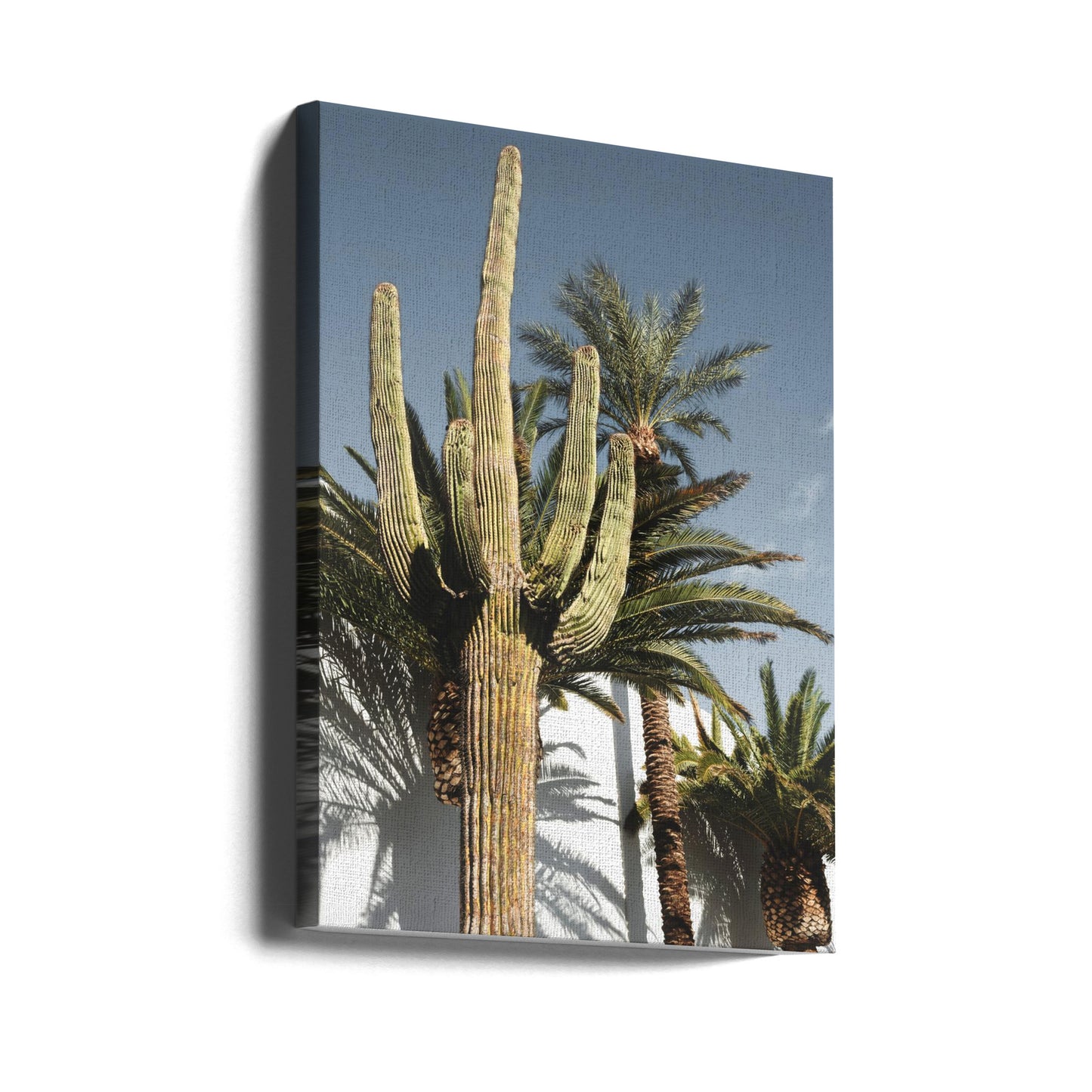 Cactus Las Vegas | Canvas