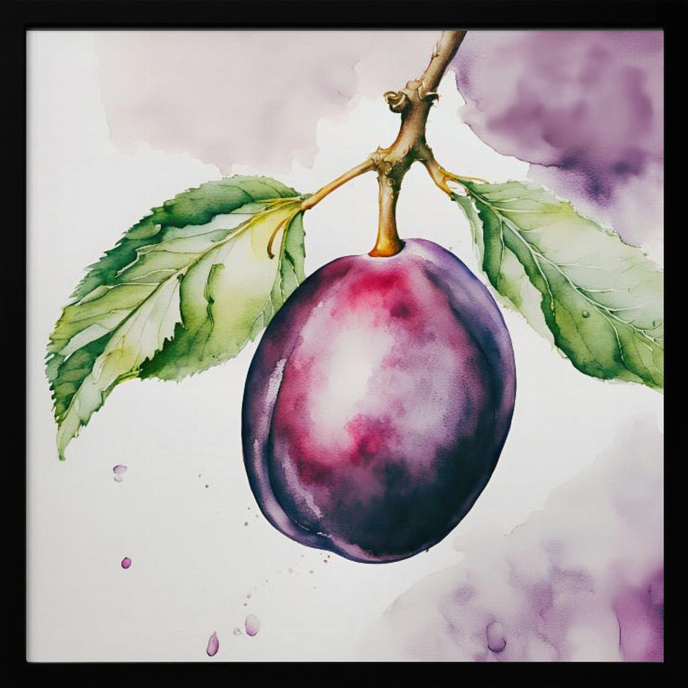 Pflaume, Aquarell, ink | Poster - Kunstdruck