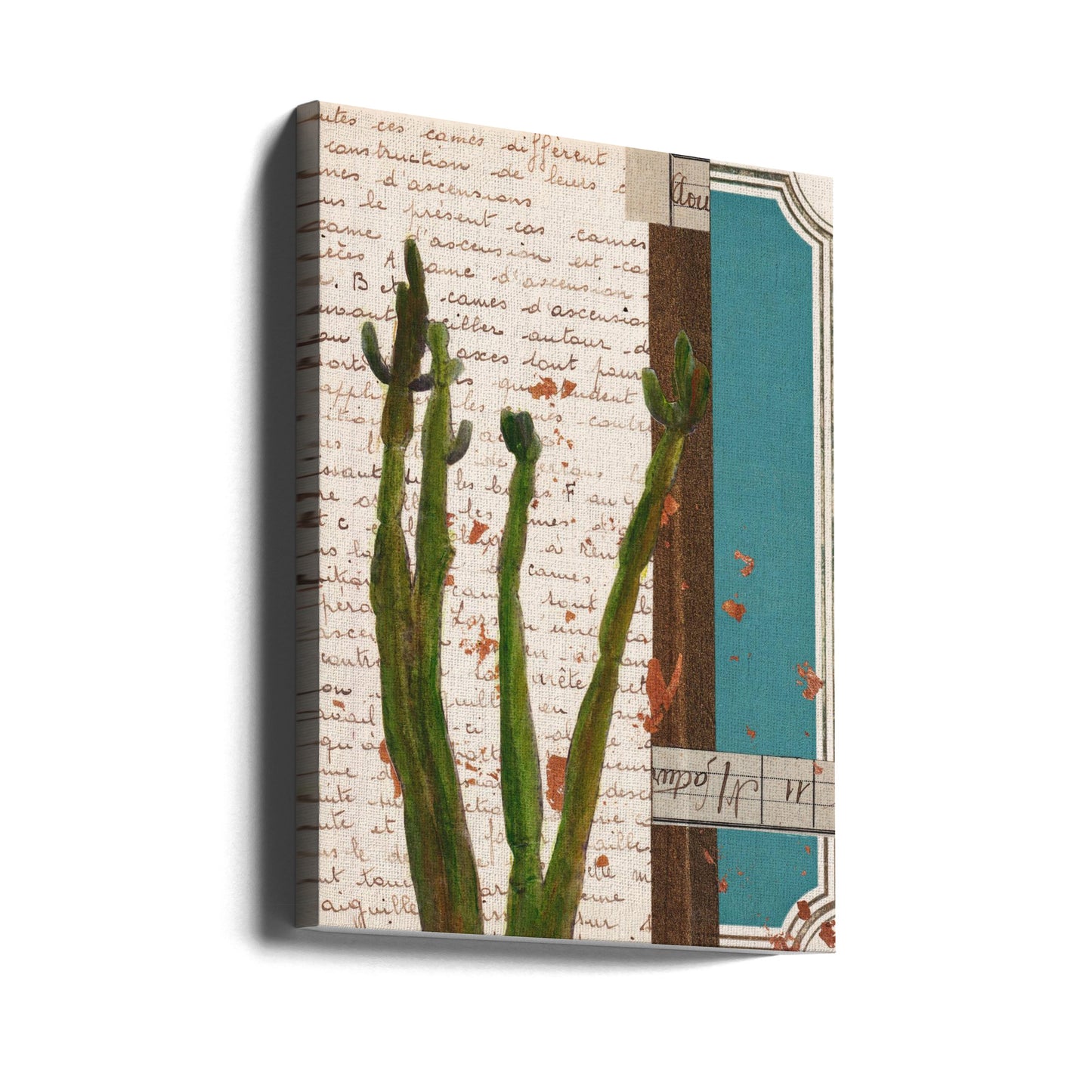 Cactus I | Canvas