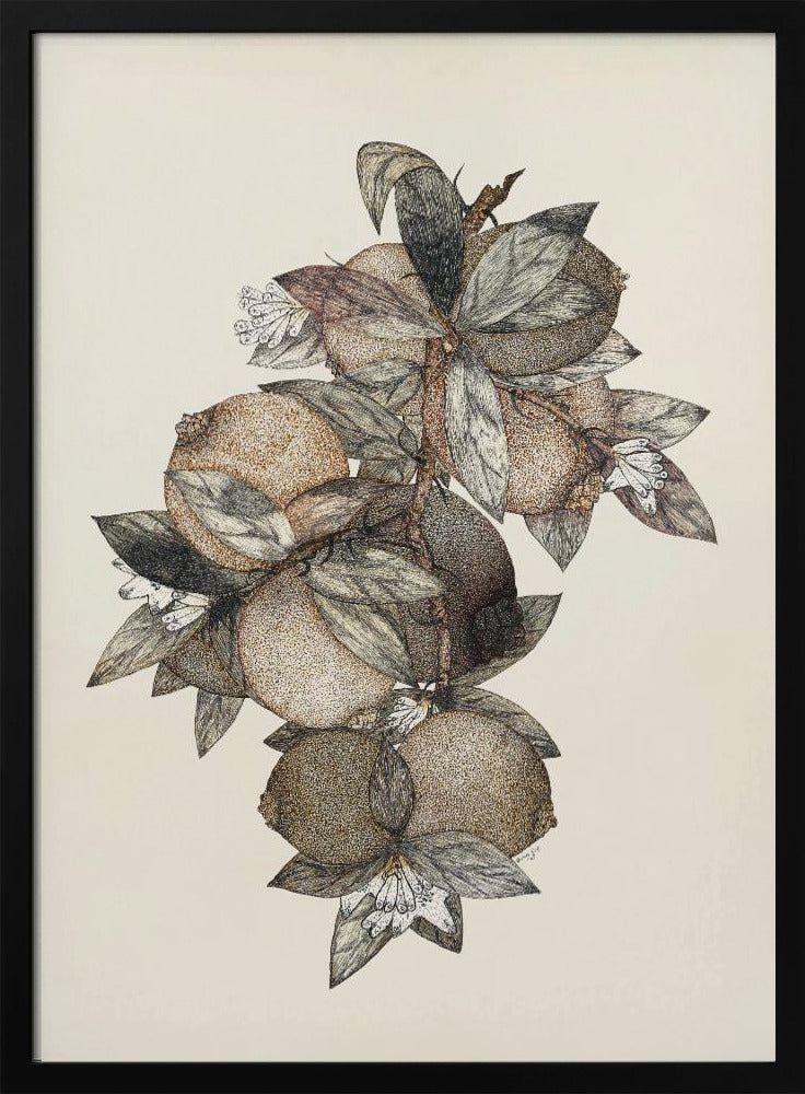 Granatäpple (1867) Rufus King | Affisch