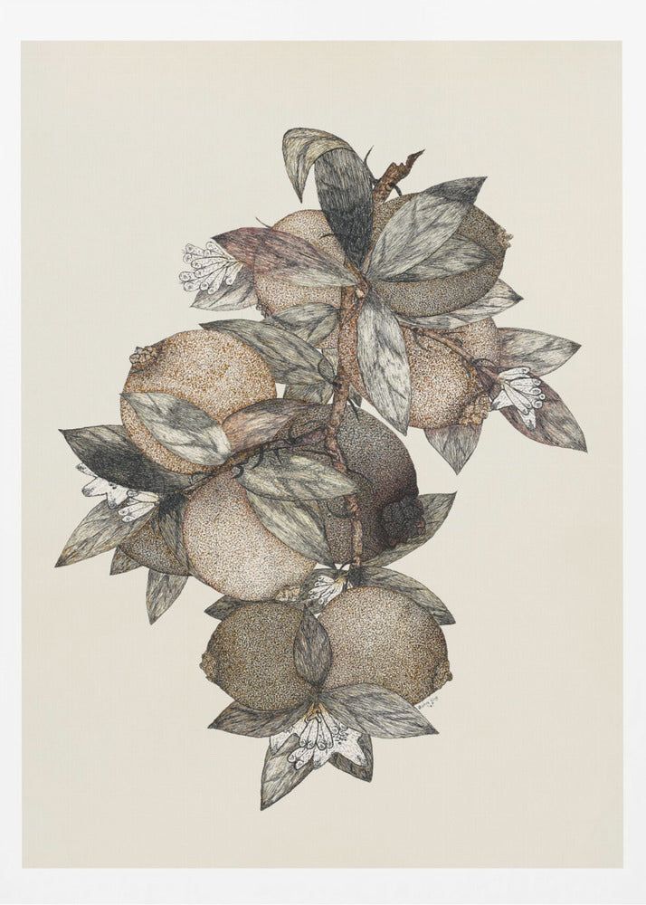 Granatäpple (1867) Rufus King | Affisch