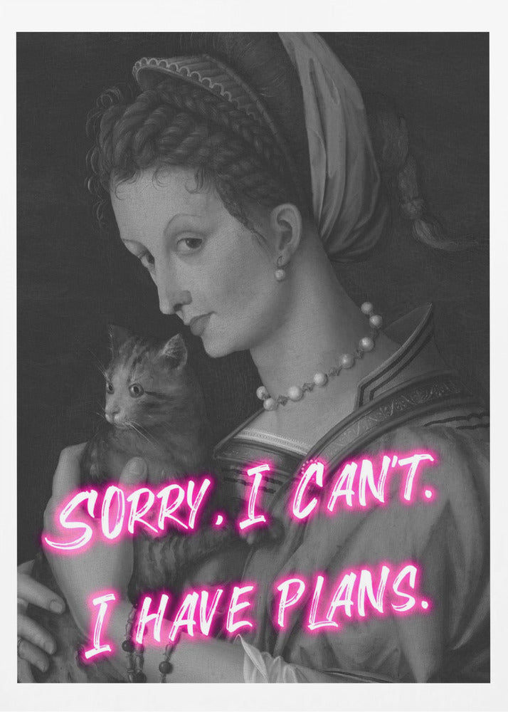 Catlady Ratio2x3 | Poster