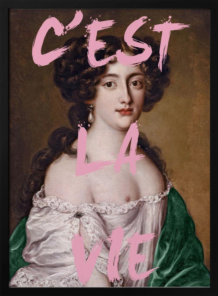 Cestlavie3 Ratio2x3 | Affisch