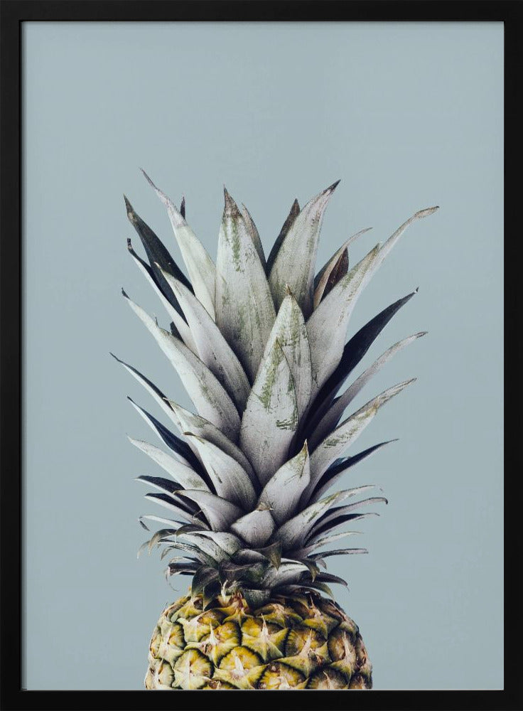 Ananas 1 | Poster