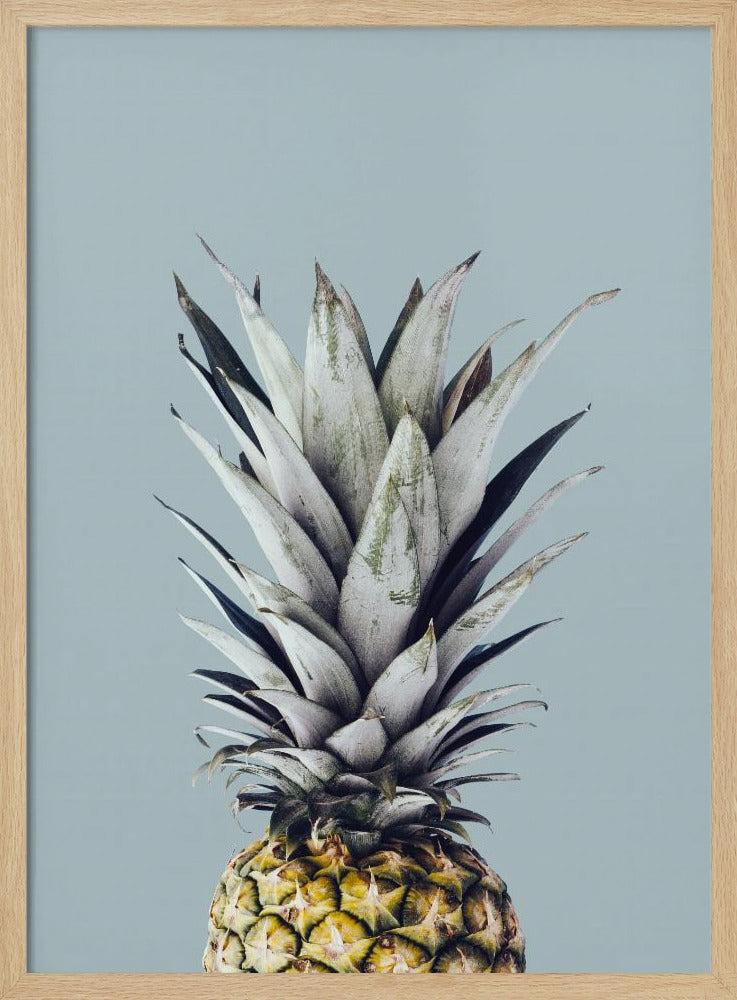 Ananas 1 | Poster