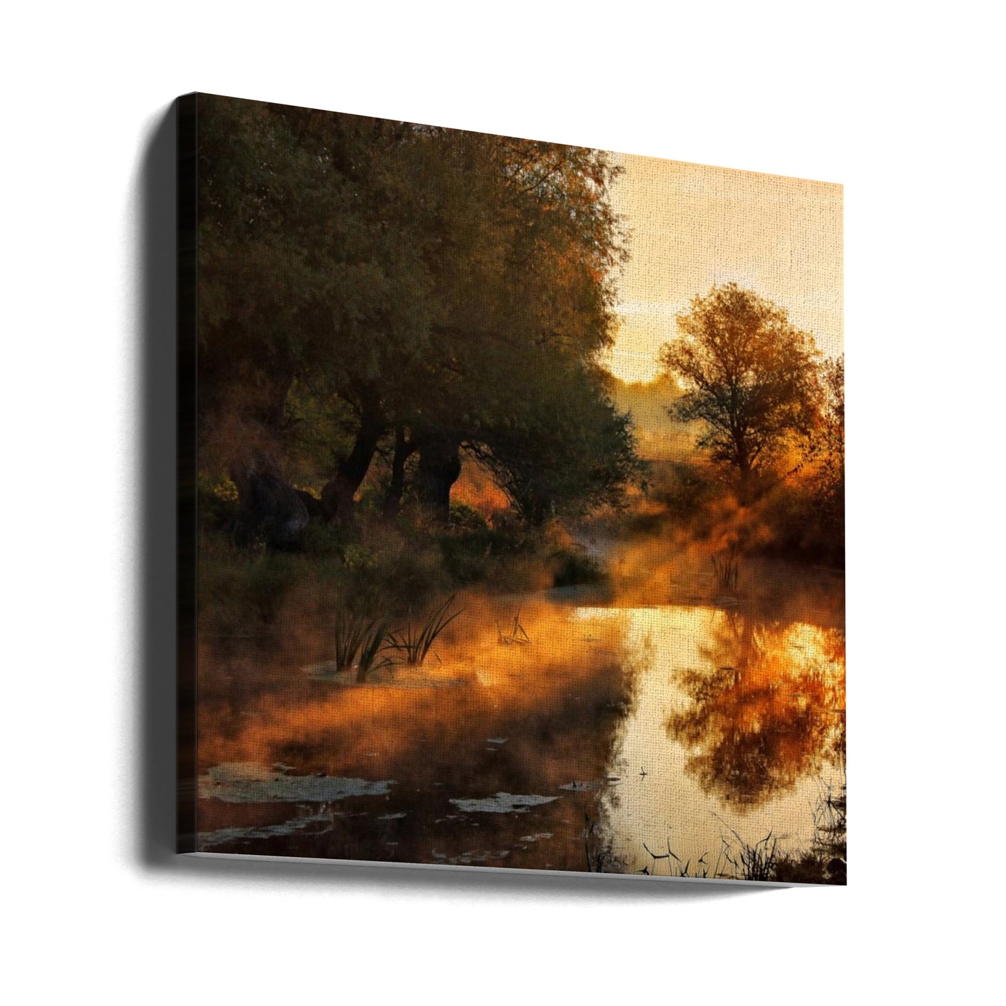 När naturen målar med ljus | Canvas