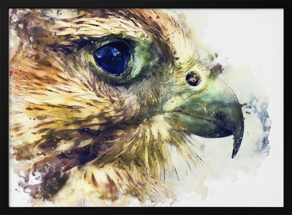 Tier Vogel Turmfalke Aquarell Tierkunst | Poster