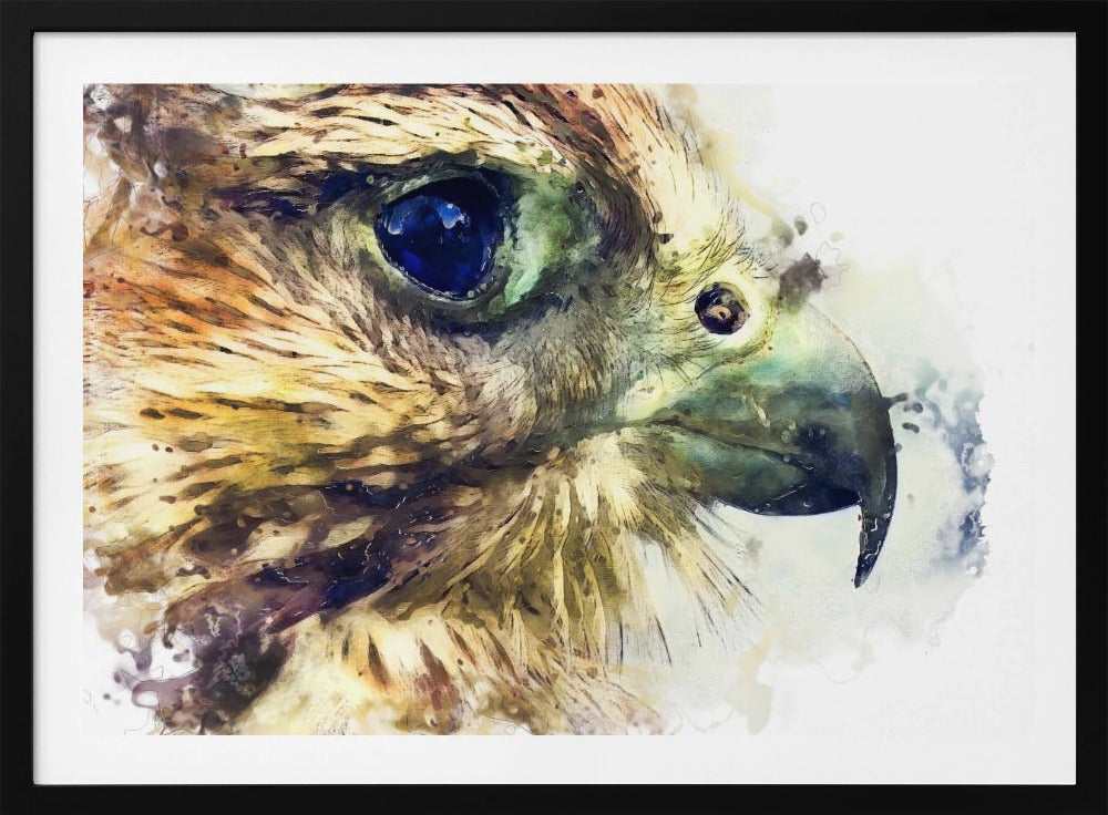 Tier Vogel Turmfalke Aquarell Tierkunst | Poster