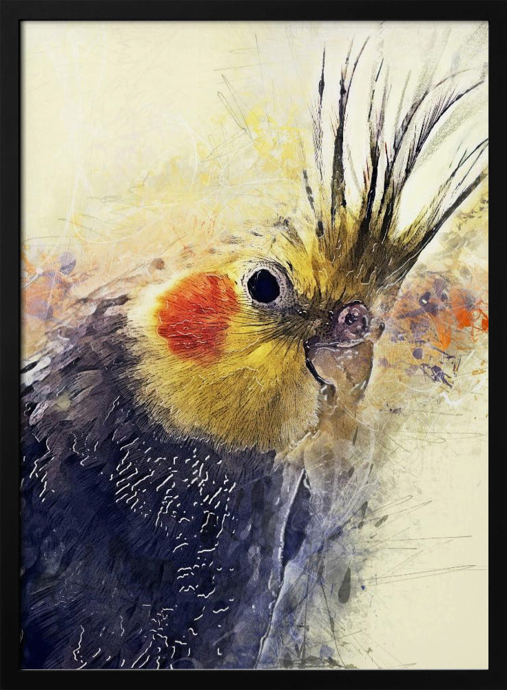Tier Vogel Nymphensittich Aquarell Tierkunst | Poster