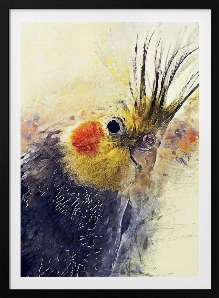 Tier Vogel Nymphensittich Aquarell Tierkunst | Poster