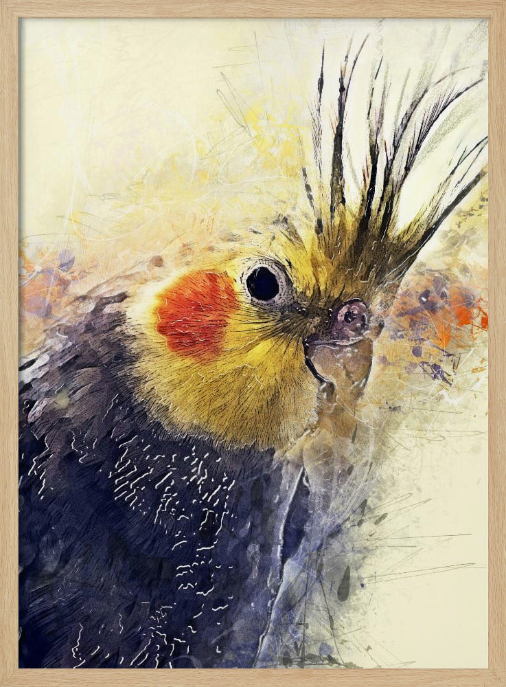 Tier Vogel Nymphensittich Aquarell Tierkunst | Poster