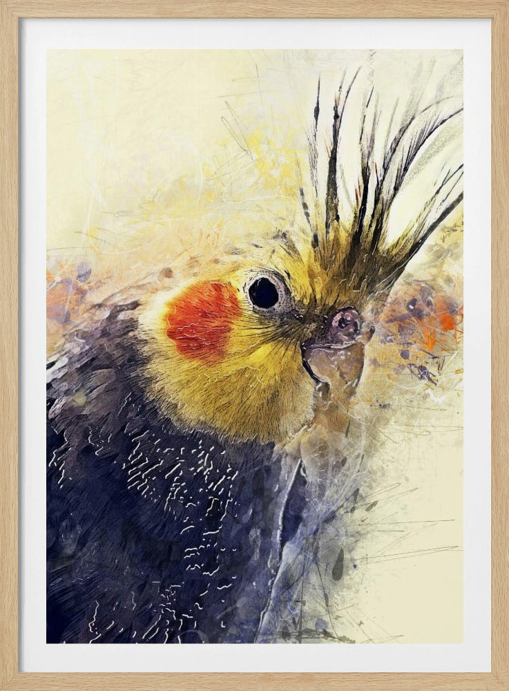 Tier Vogel Nymphensittich Aquarell Tierkunst | Poster