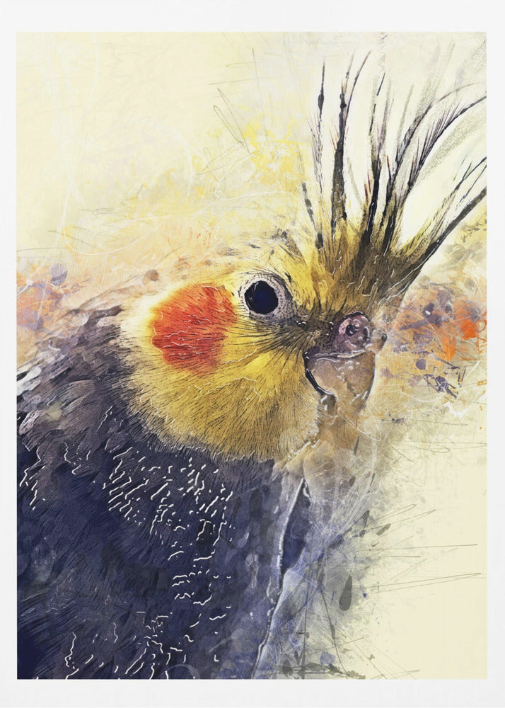 Tier Vogel Nymphensittich Aquarell Tierkunst | Poster