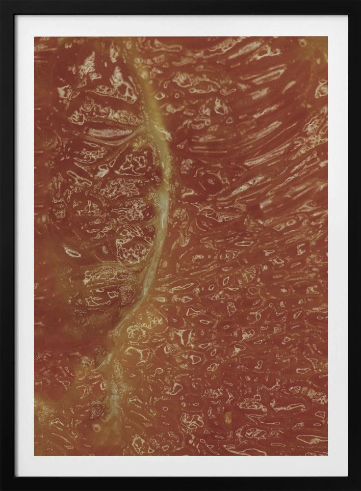 Citrusmosaik | Poster