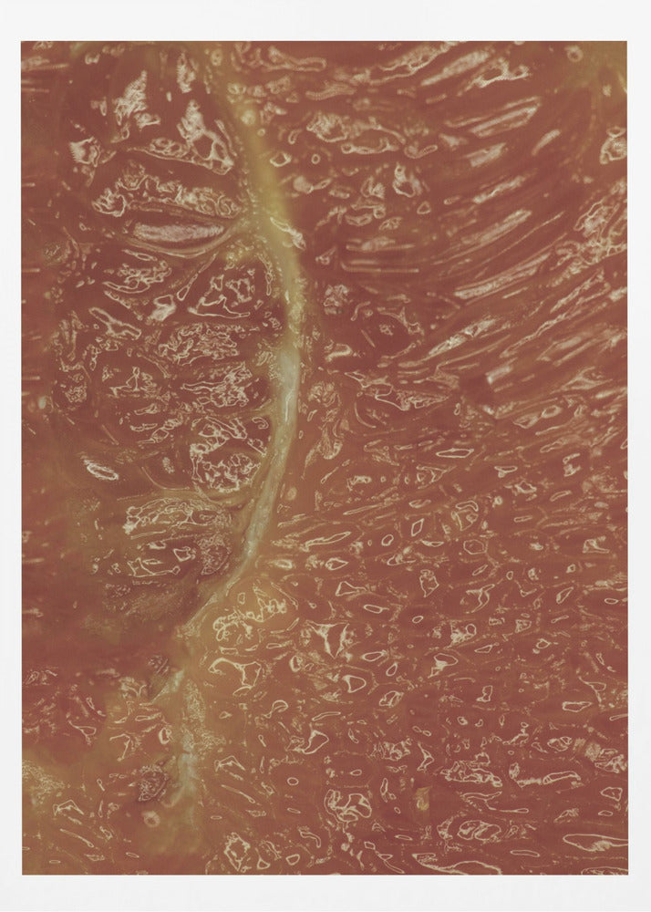 Citrusmosaik | Poster