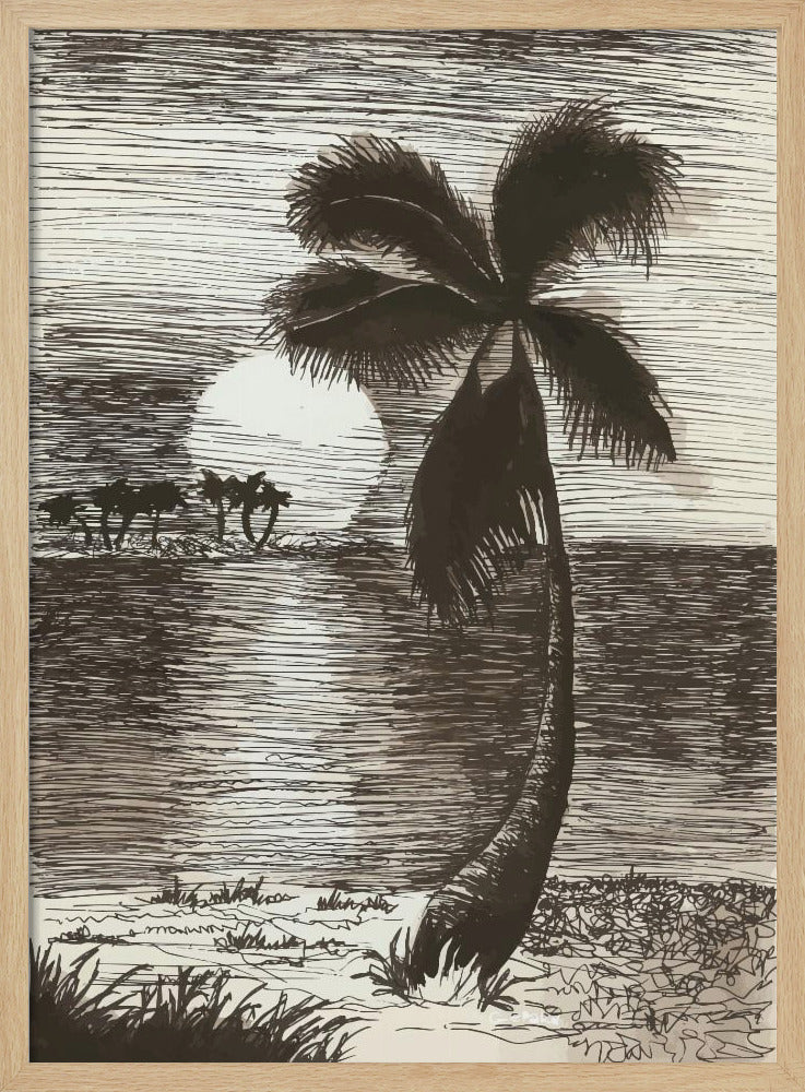 Palm in Sunset Glow | Poster