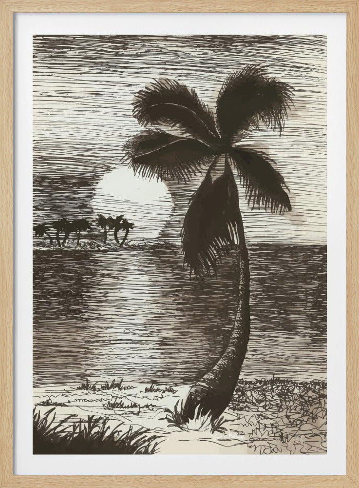 Palm in Sunset Glow | Poster