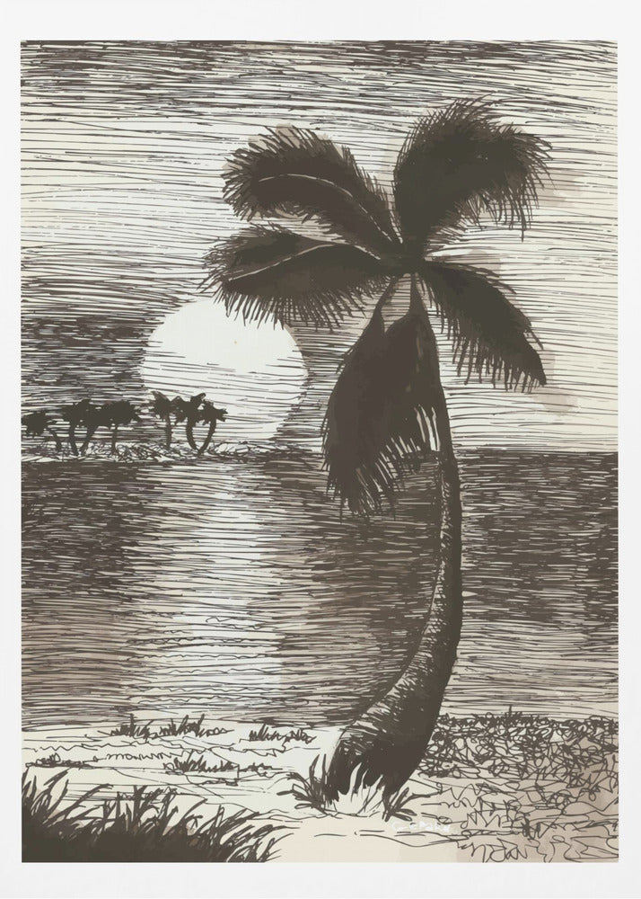 Palm in Sunset Glow | Poster