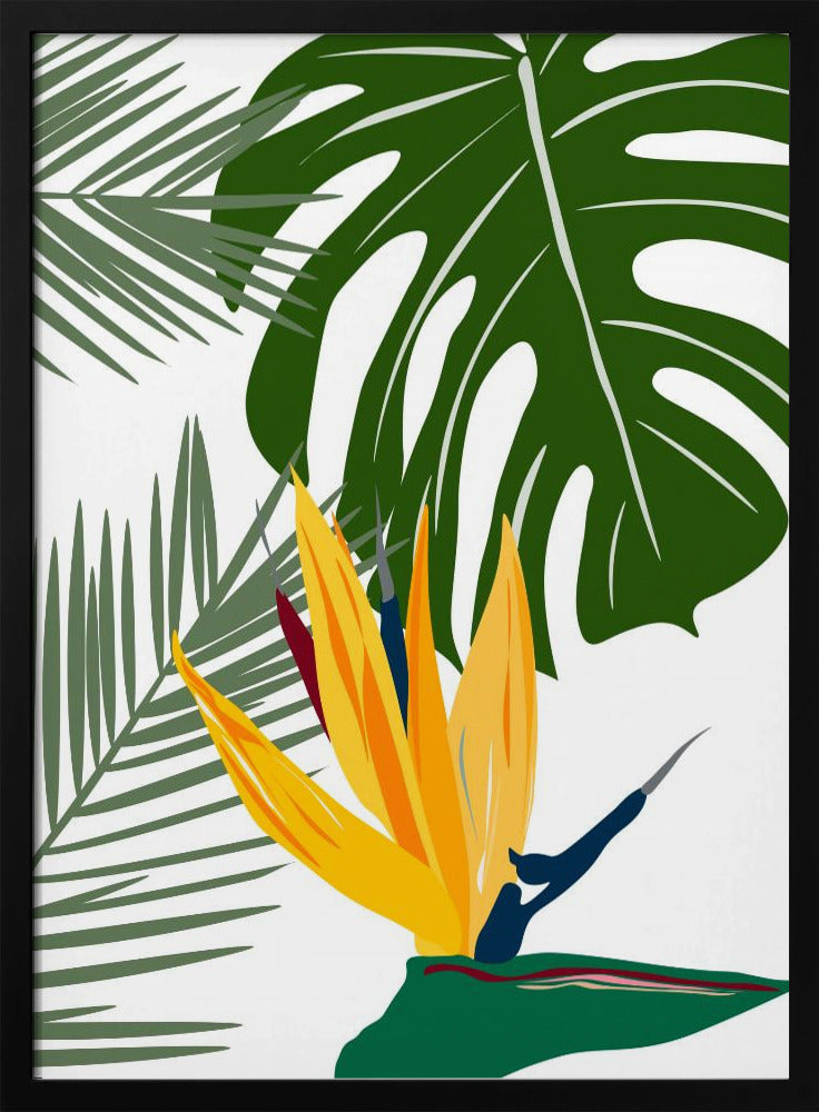 Monstera och palma | Poster