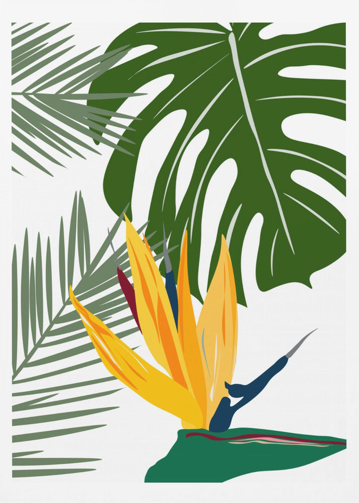 Monstera och palma | Poster