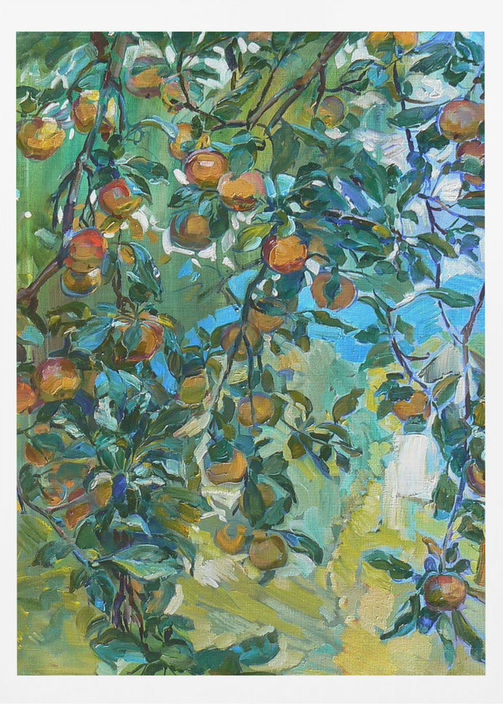 Äppelträd | Poster