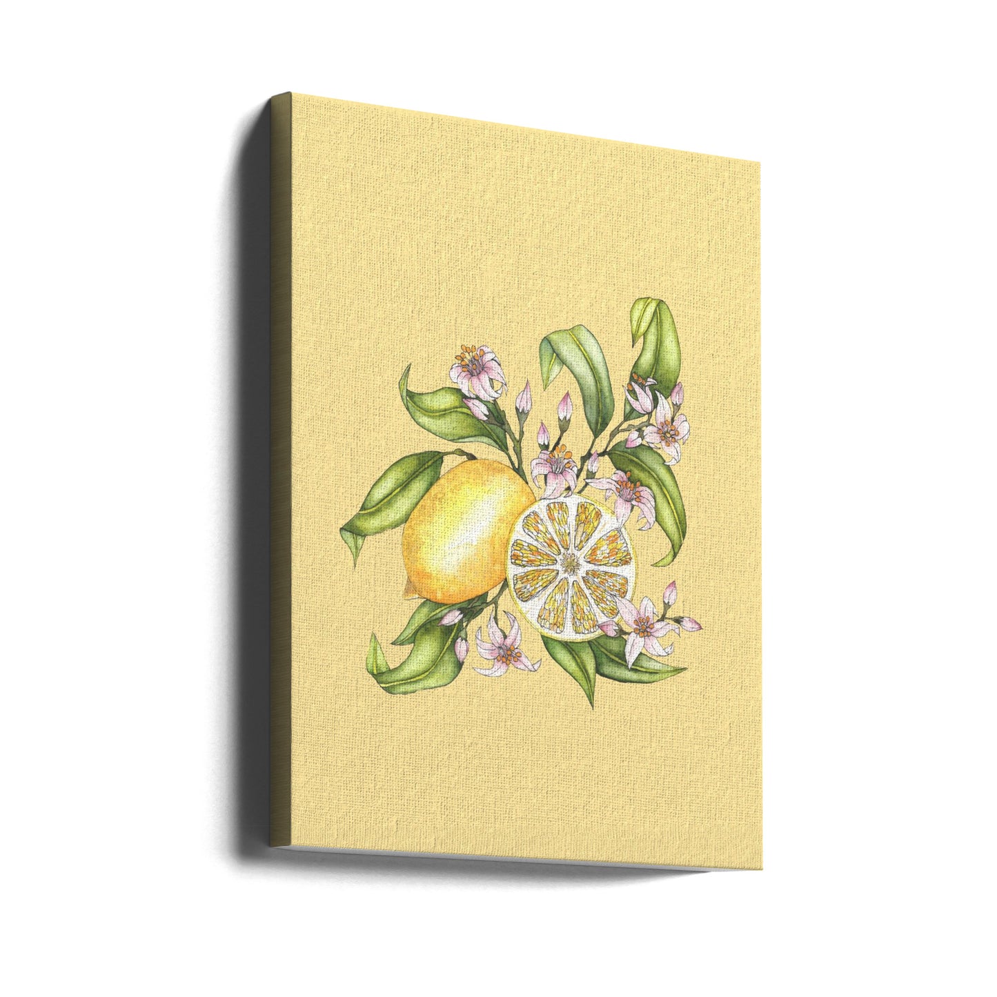 Lemon illustration | Canvas
