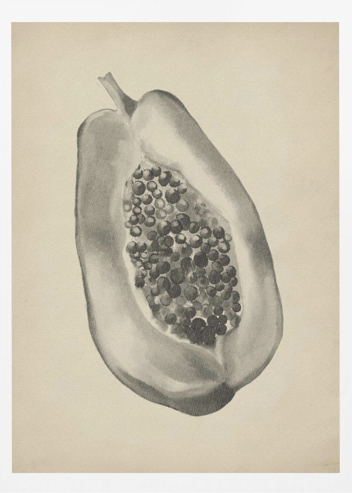 Vintage botanisk illustration av frukt | Poster