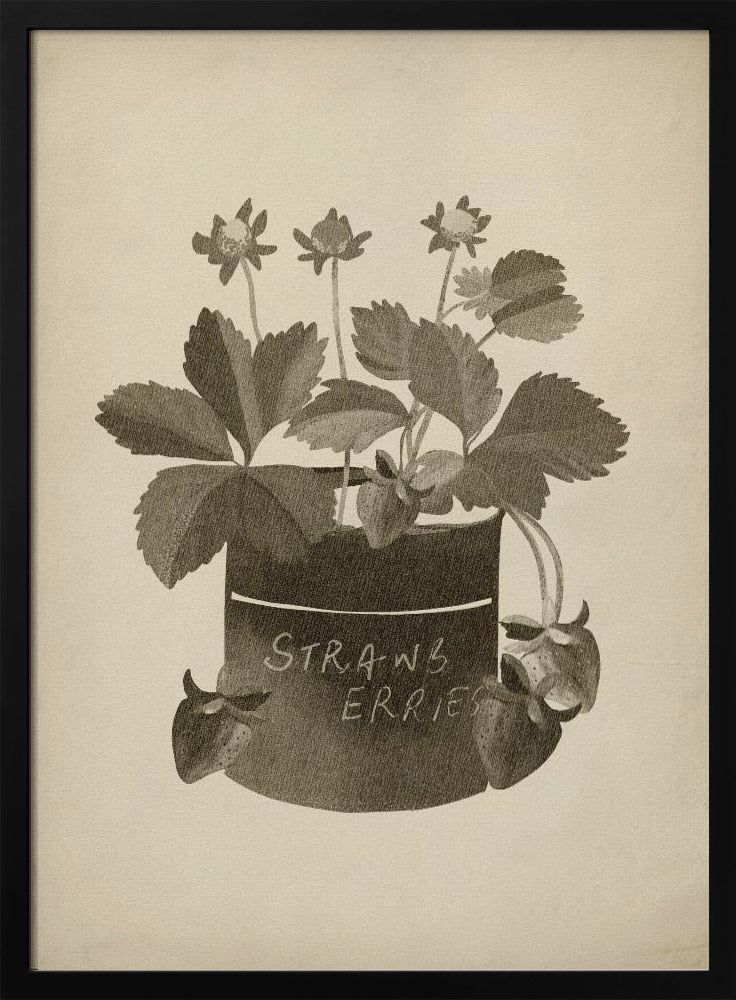 Vintage jordgubbsplanta | Poster