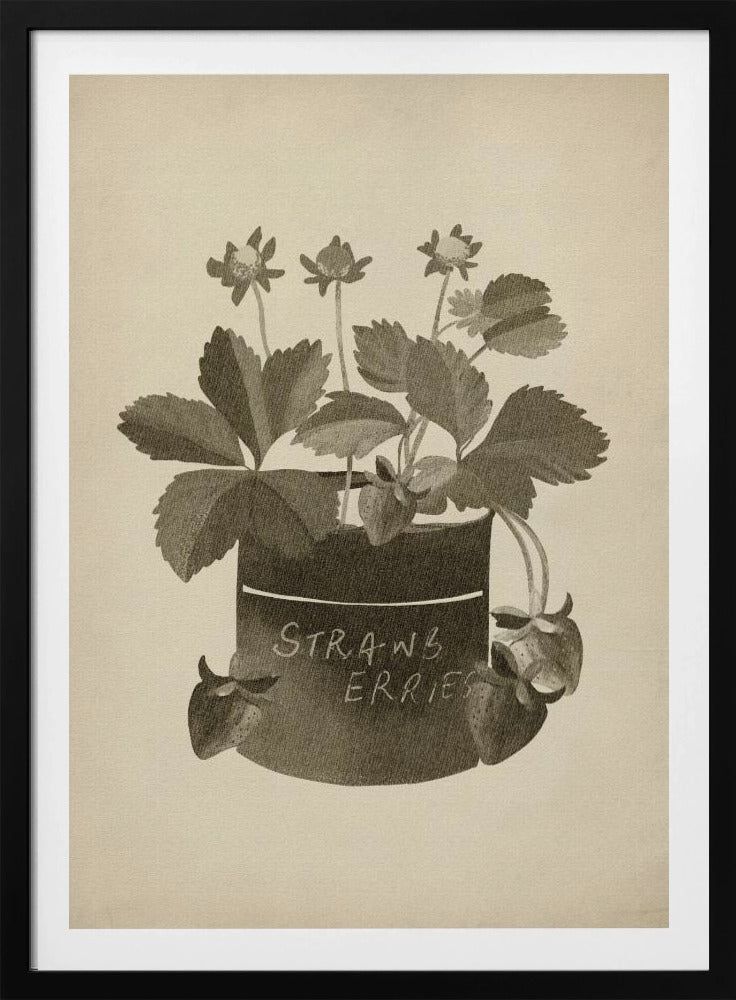 Vintage jordgubbsplanta | Poster