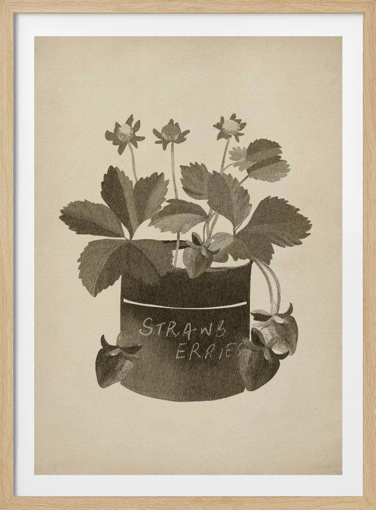 Vintage jordgubbsplanta | Poster