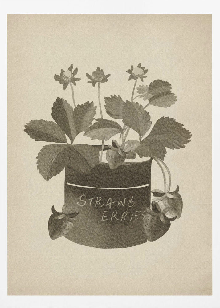 Vintage jordgubbsplanta | Poster