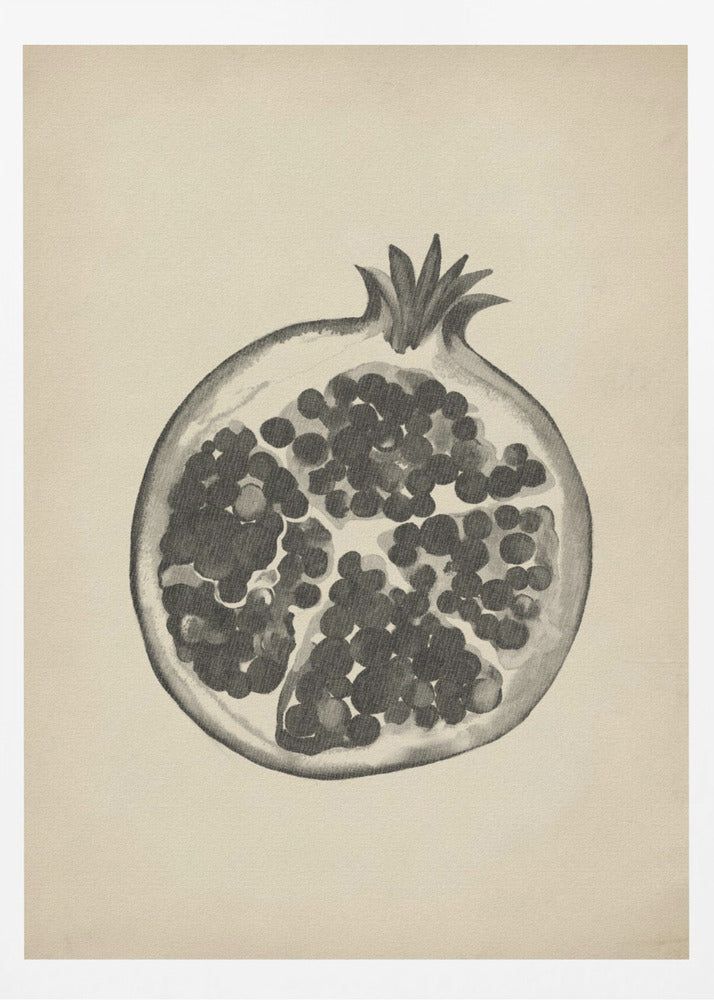 Vintage granatäpple | Poster