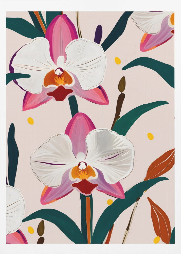 Rosa orkidéer | Poster