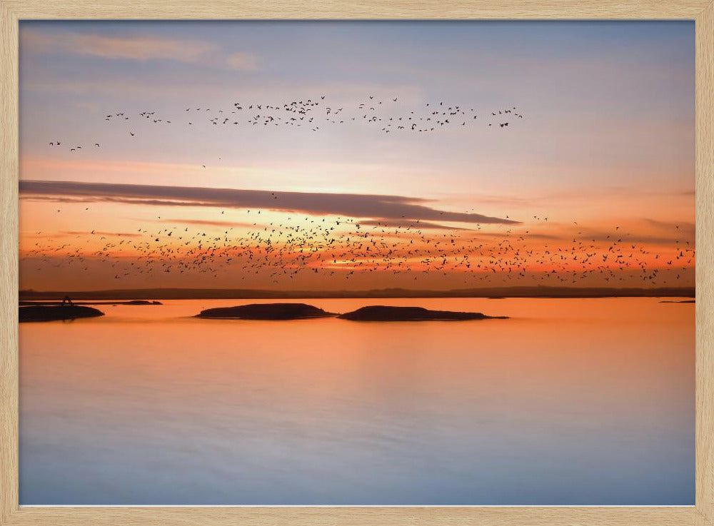 av solnedgången | Poster