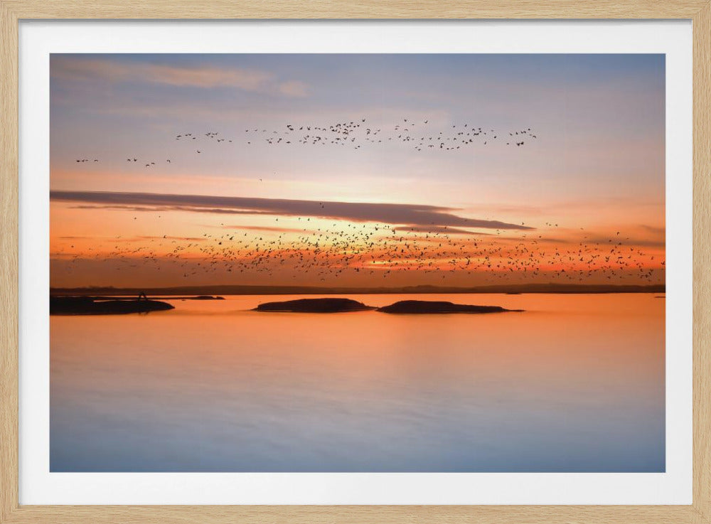 av solnedgången | Poster