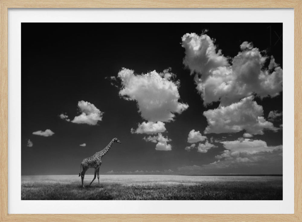 Borta med molnen | Poster