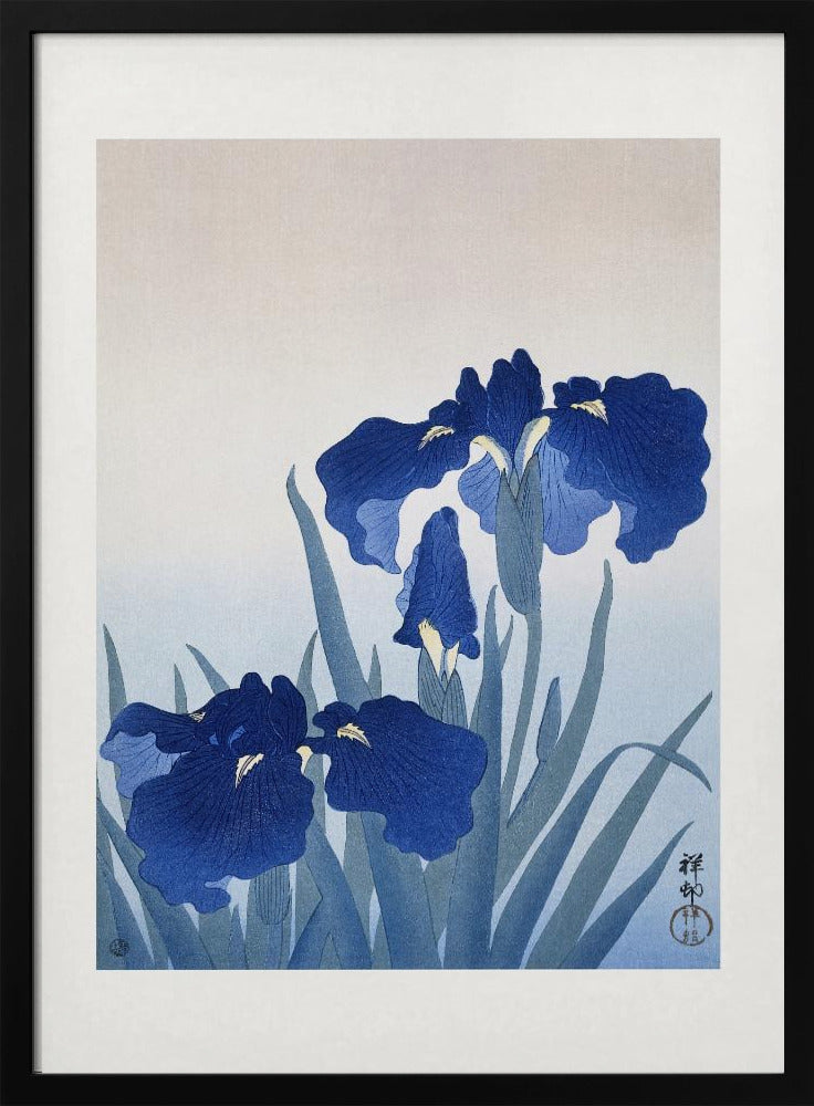 Iris Flowers | Poster