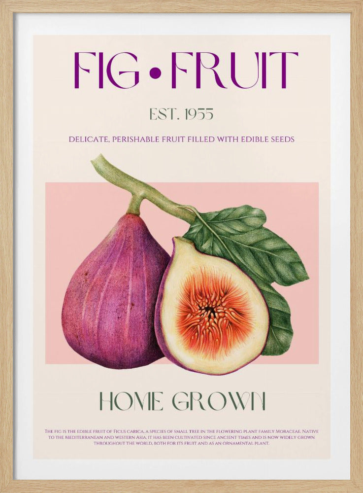 Vintage fikonfröjd | Poster