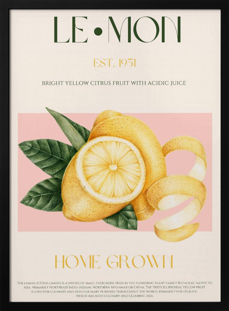 Skivad citron med löv i vintagestil | Poster