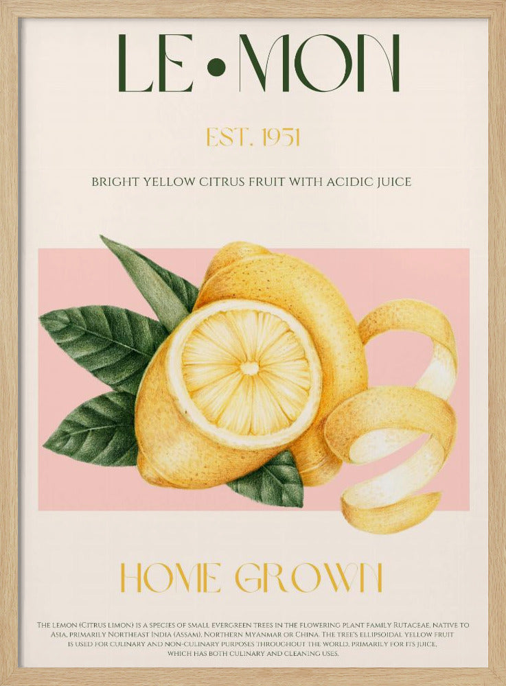 Skivad citron med löv i vintagestil | Poster