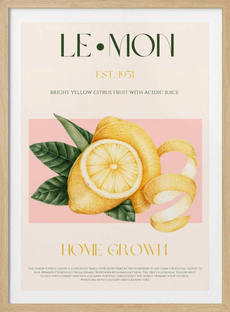 Skivad citron med löv i vintagestil | Poster