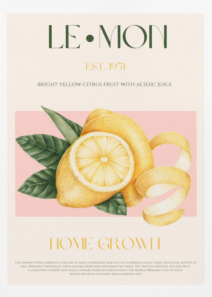 Skivad citron med löv i vintagestil | Poster