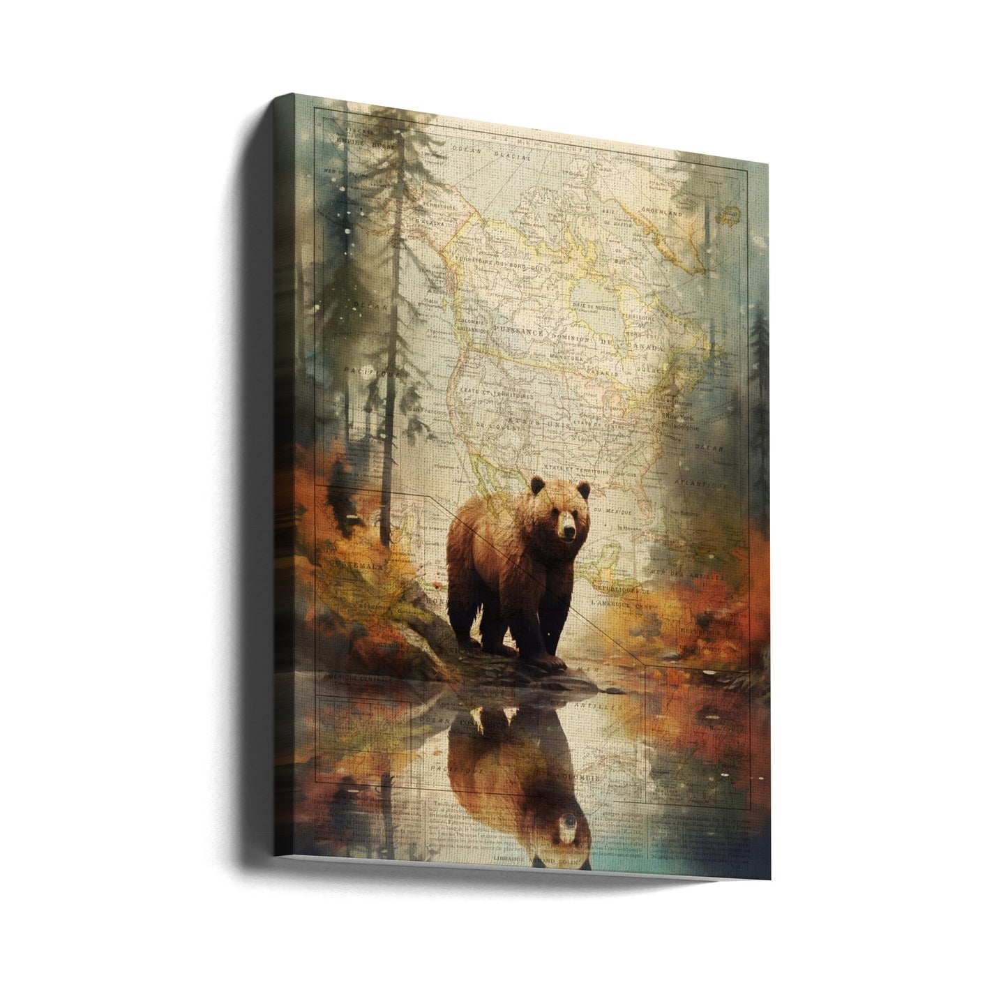 Grizzly 2 | Canvas