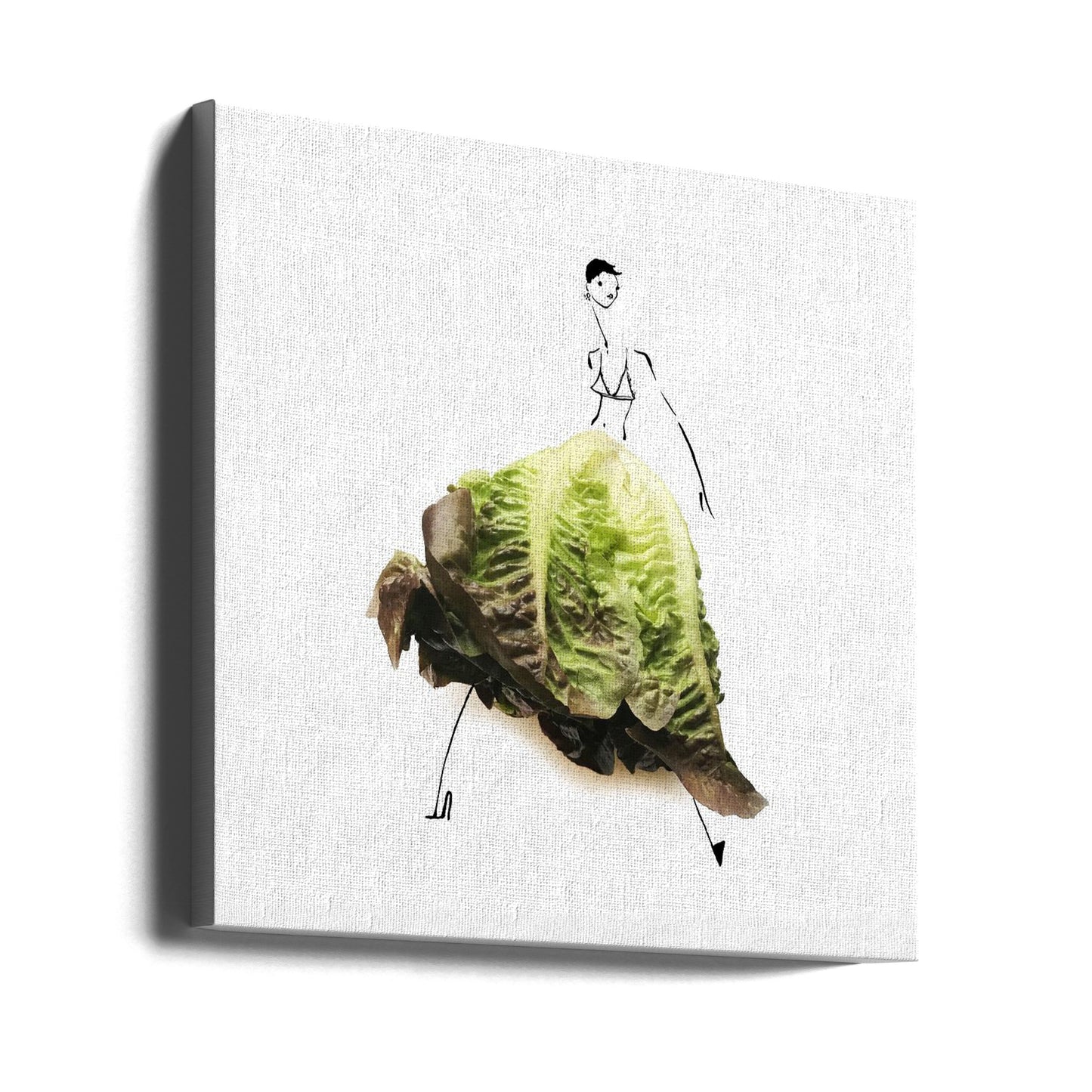 Lettuce | Canvas
