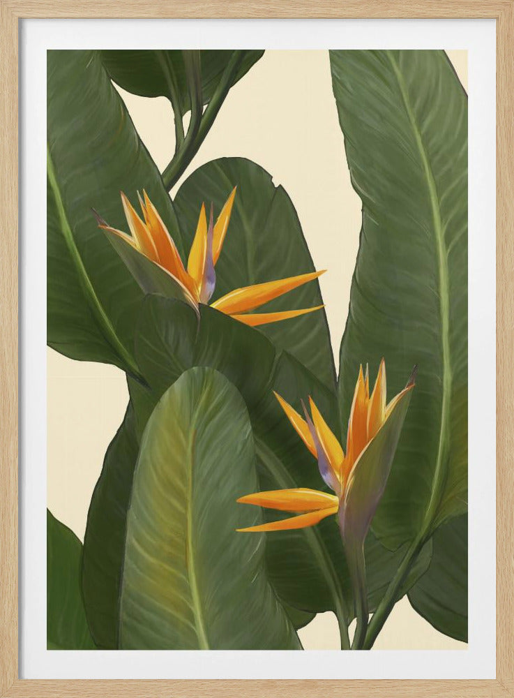 Birds of Paradise | Poster
